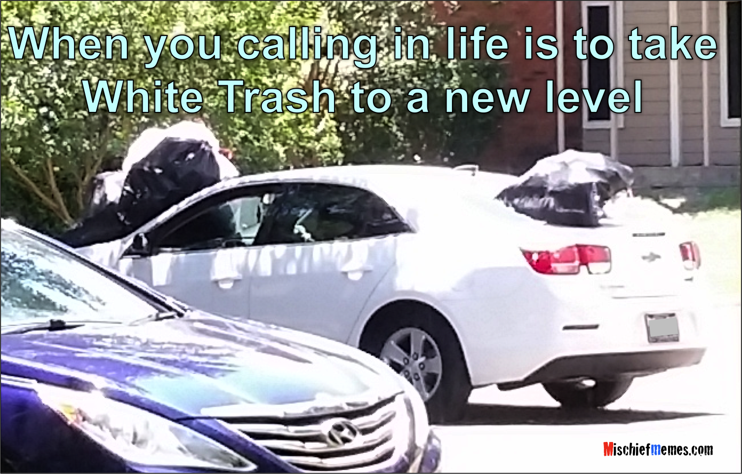 http://www.mischiefmemes.com/images/white_trash.png